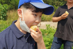 104167574_150198406587725_7271394115257637235_n