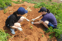 104408180_150198229921076_1693145400460487670_n