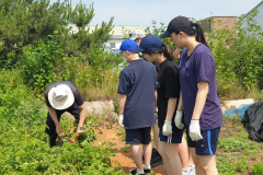 104429279_150198153254417_1934380010147494470_n