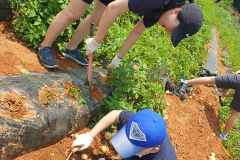 104456615_150198343254398_3507442883961147156_n