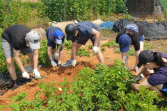 104487742_150198179921081_4473595940847011164_n