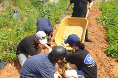 104530767_150198509921048_4716022580997711609_n