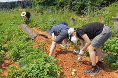 104887566_150198256587740_8796846966210314112_n