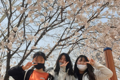 91314577_124343022506597_228022283350835200_n