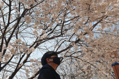 91481188_124343055839927_7835199784578187264_n